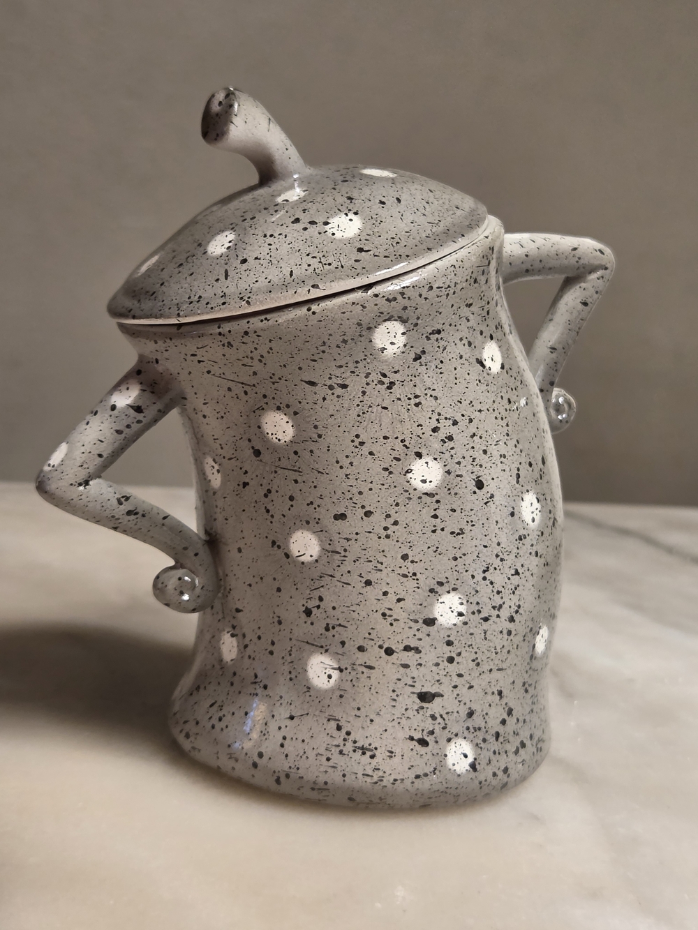 Canister With Attitude Sassy Funny Cup Jar Polka Dot with Lid